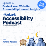AAArdvark Accessibility Podcast