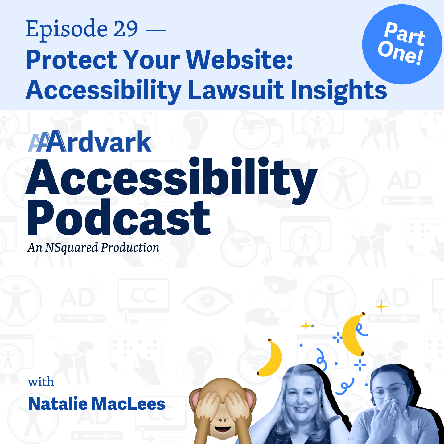 AAArdvark Accessibility Podcast