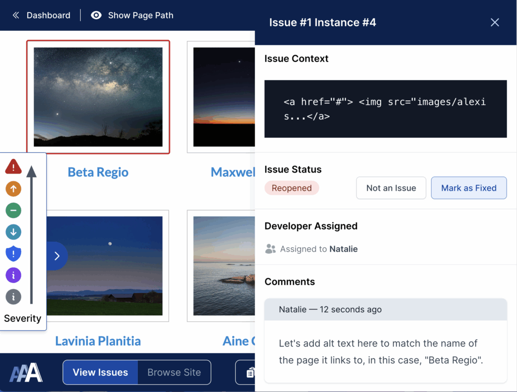 Screenshot of the Issue Instance detail page in the AAArdvark Visual Mode interface, listing the Issue Context, Status, Developer Assigned, and Comments.